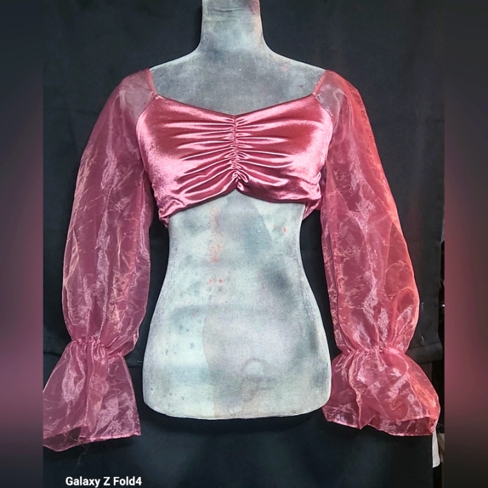 FASHION NOVA Sheer Sleeve Top